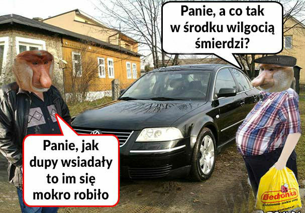 Passat król szos 