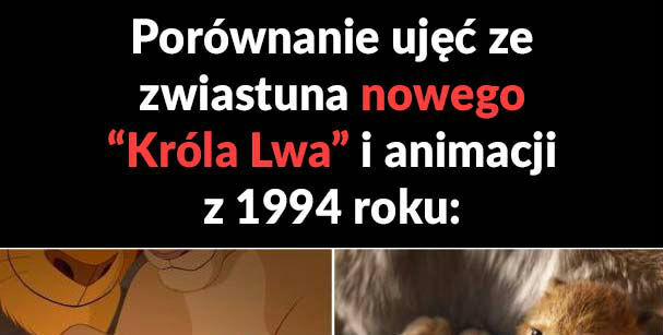 Nowy Król Lew 