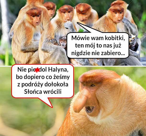 Podróż z Januszem 