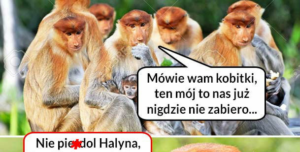 Podróż z Januszem 
