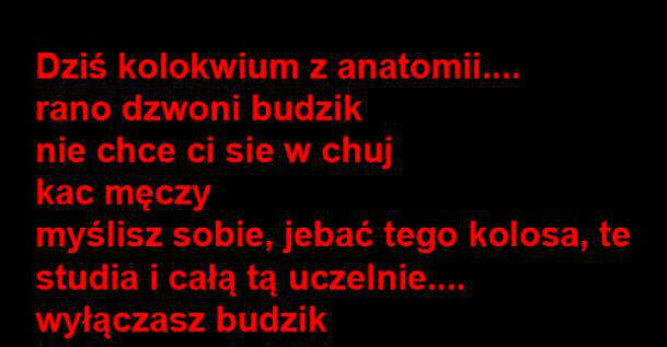 Praca marzenie 