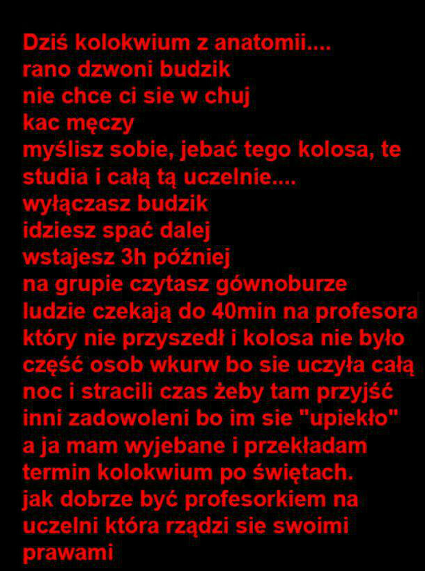 Praca marzenie 