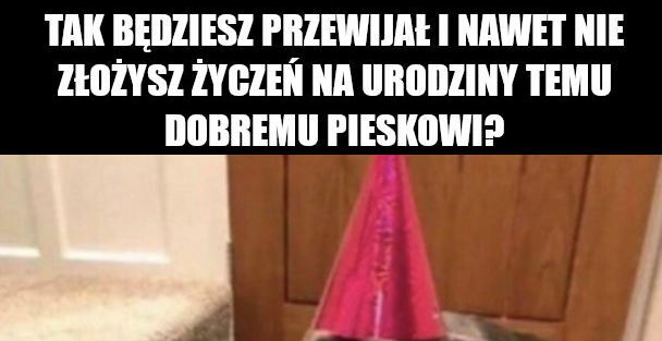 Urodzinki 