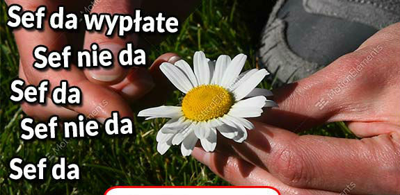 Wypłata 