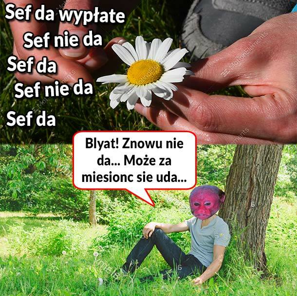 Wypłata 