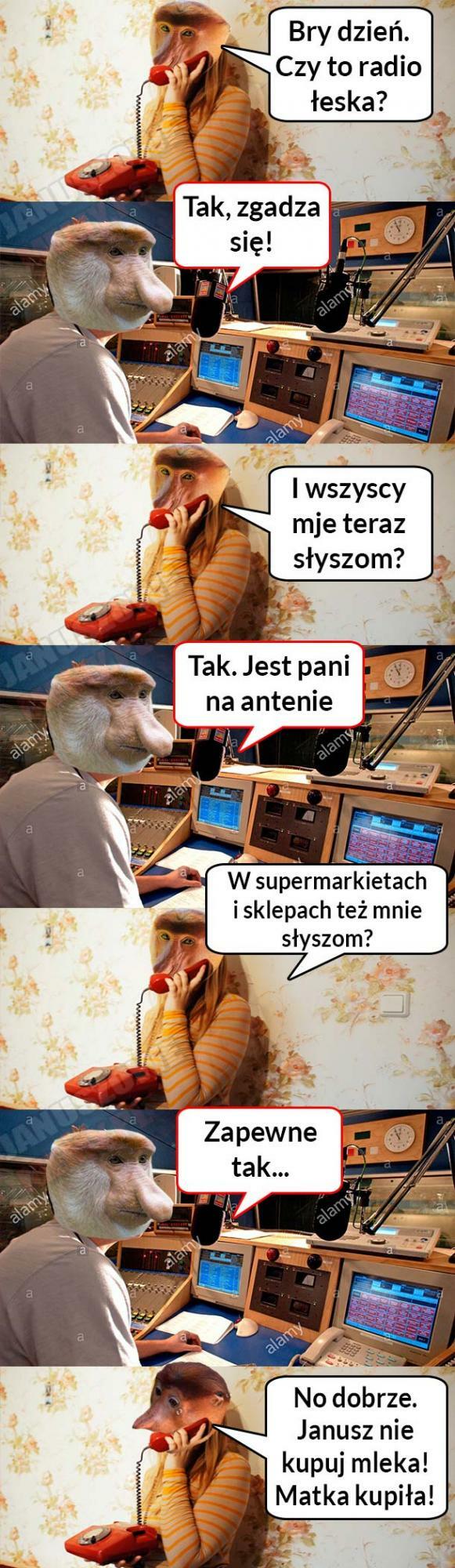 Halyna na antenie 