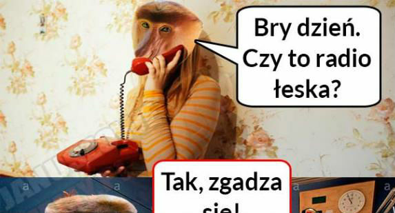 Halyna na antenie 