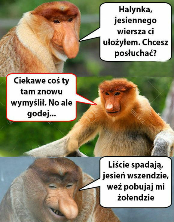 Jesienny wierszyk