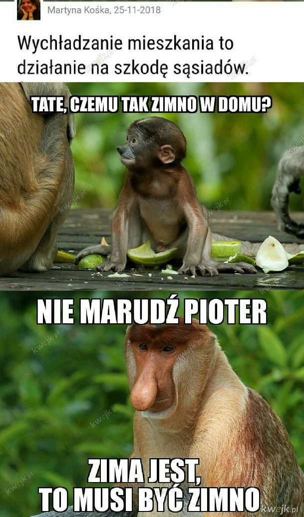 Na złość somsiadowi 
