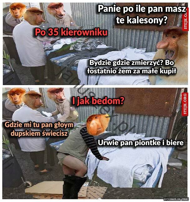 Kalesony 