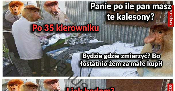 Kalesony 