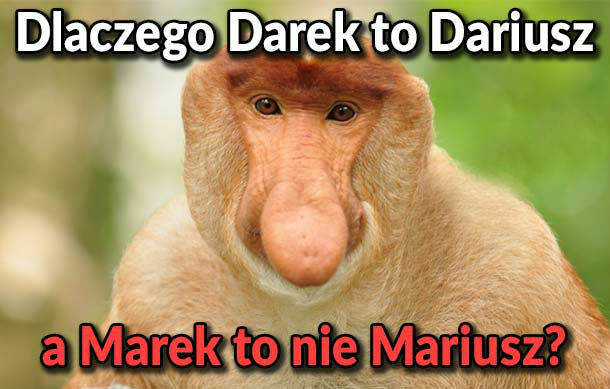 Gruba rozkmina Janusza 