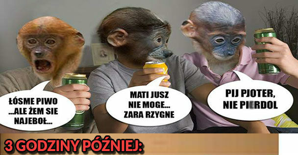Kiedy Pioter popije z kolegami :D 