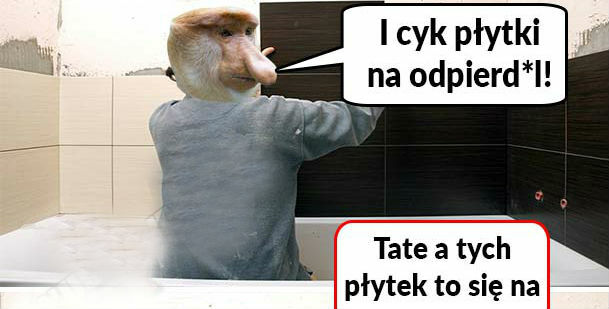 Remont u Janusza 