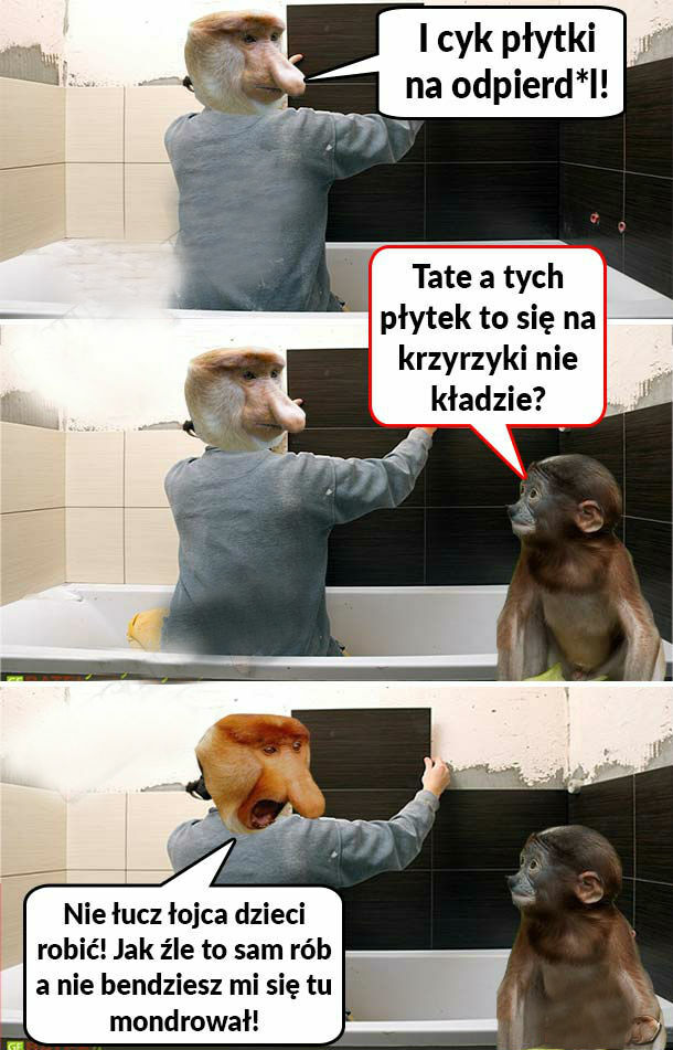 Remont u Janusza 