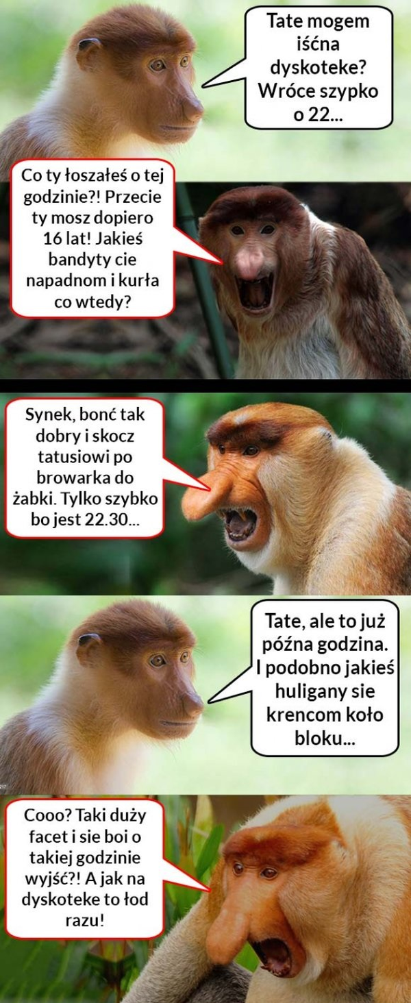 Logika Janusza 
