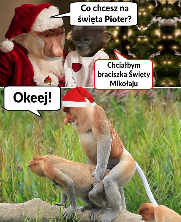 Życzenie Piotera 