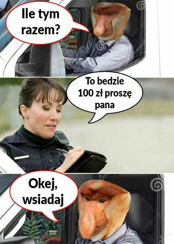 Janusz i policjantka 