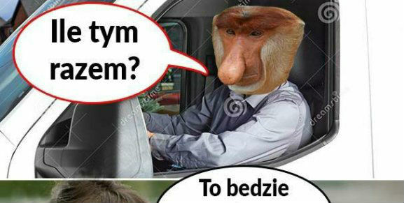 Janusz i policjantka 
