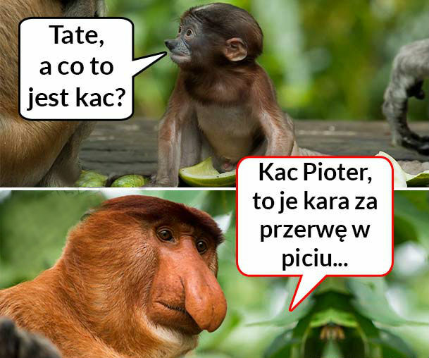 Kac morderca nie ma serca
