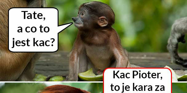 Kac morderca nie ma serca