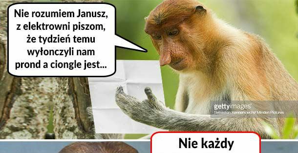 Janusz bohater 
