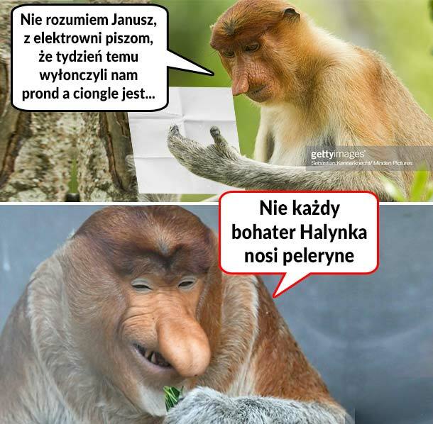 Janusz bohater 