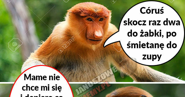 Nieusłuchana Karyna