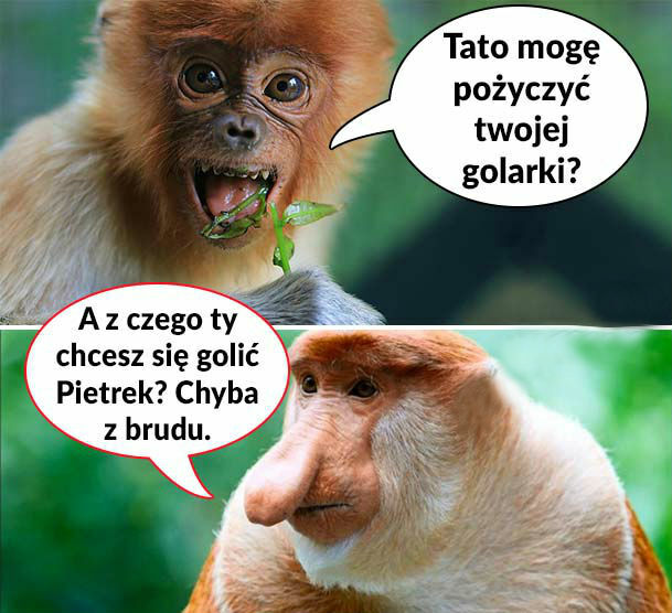 Pioter i golarka 