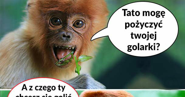 Pioter i golarka 