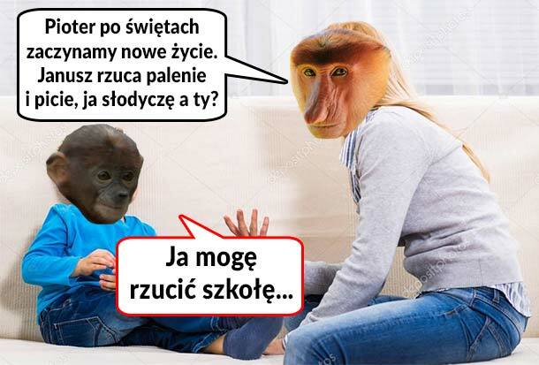 Nowe życie 