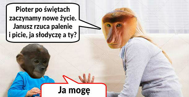 Nowe życie 