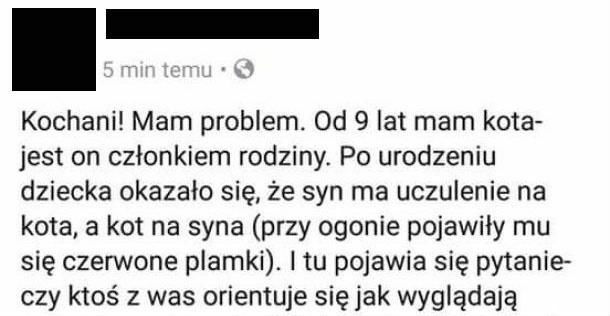 Domowy problem 