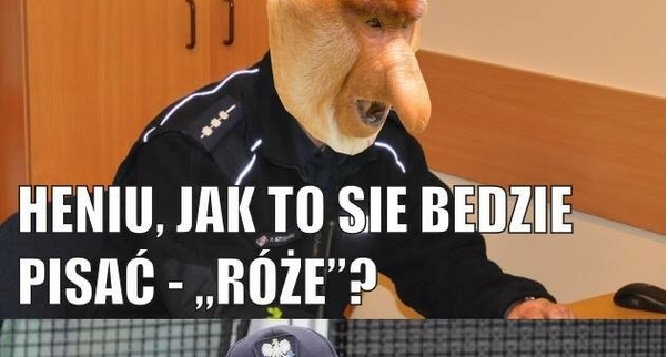 Janusz - król ortografii 