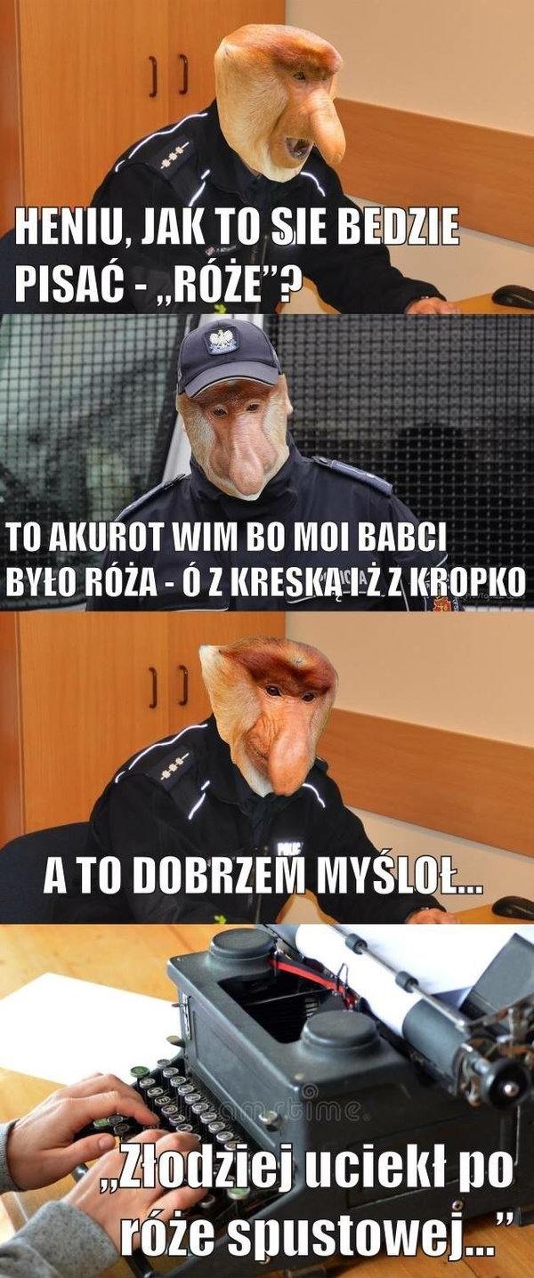 Janusz - król ortografii 