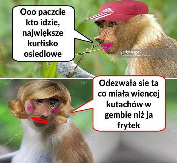 Kłótnia dwóch Karyn 