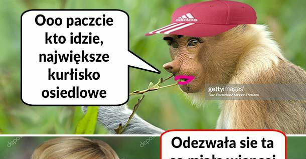 Kłótnia dwóch Karyn 