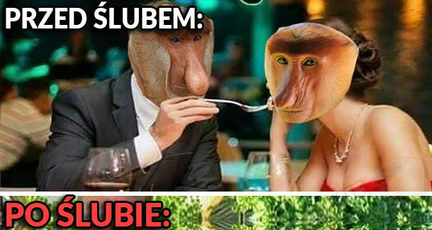 Przed ślubem i po ślubie :D 