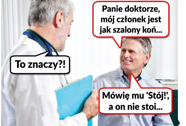 Szalony koń 
