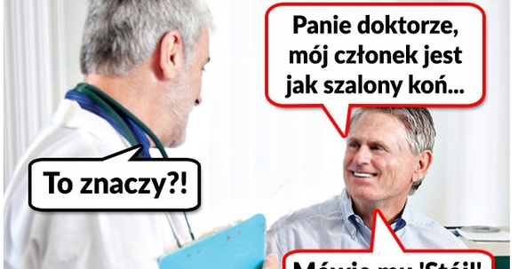Szalony koń 