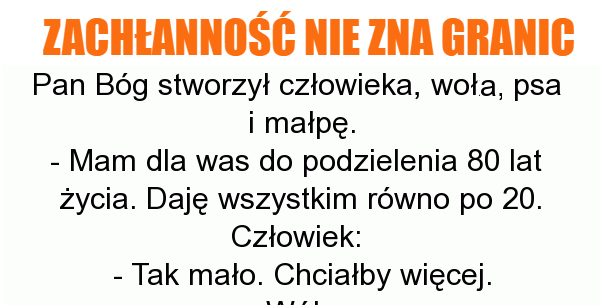Zachłanny człowiek 
