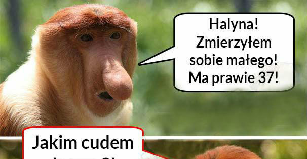 Janusz zmierzył tak jak trzeba :D 