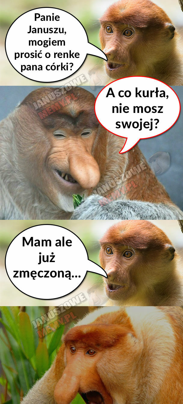Oświadczyny :D 