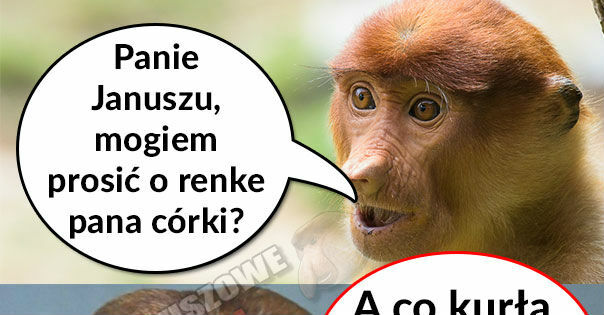 Oświadczyny :D 