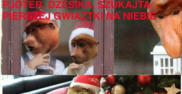 Pierwsza gwiazdka :D 
