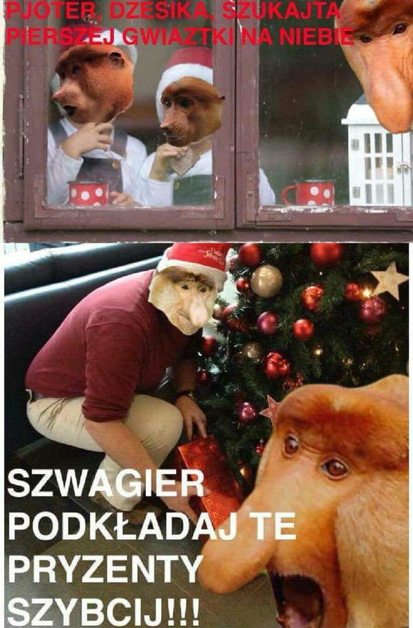 Pierwsza gwiazdka :D 
