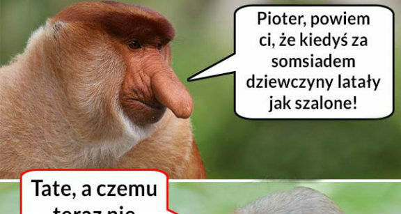 Somsiad miał powodzenie :D 