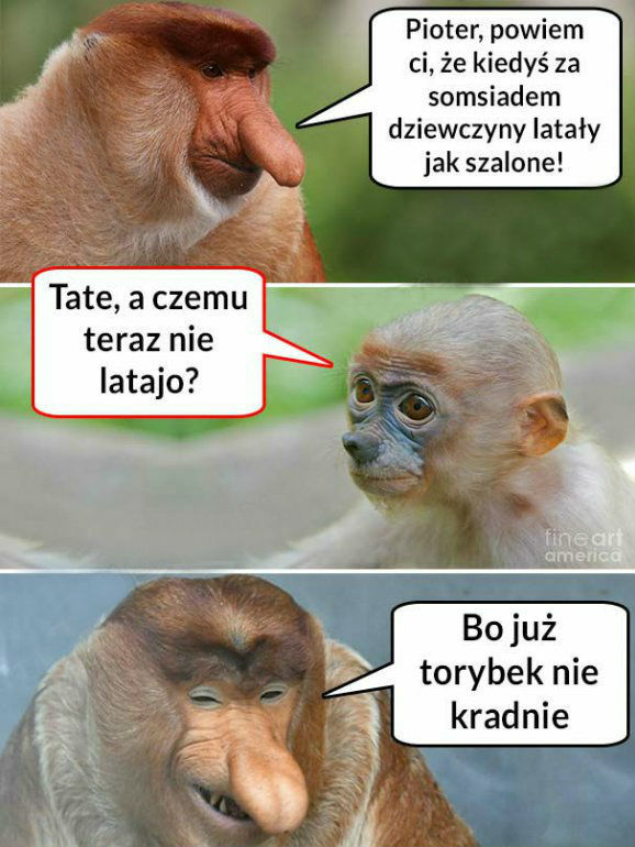 Somsiad miał powodzenie :D 