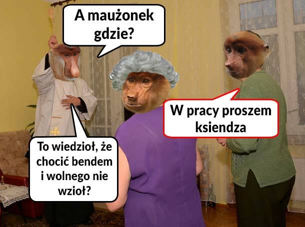 Hej kolęda, kolęda! :D 