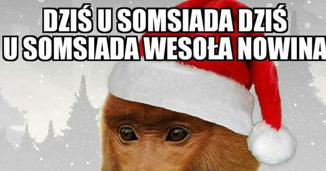 Wesoła nowina :D 